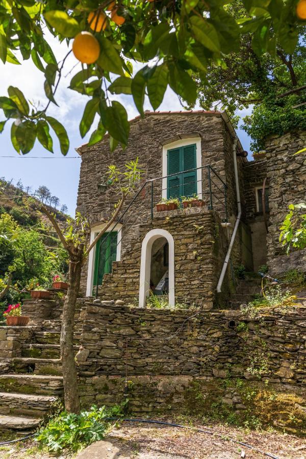 Villa Smith Vernazza Exterior photo